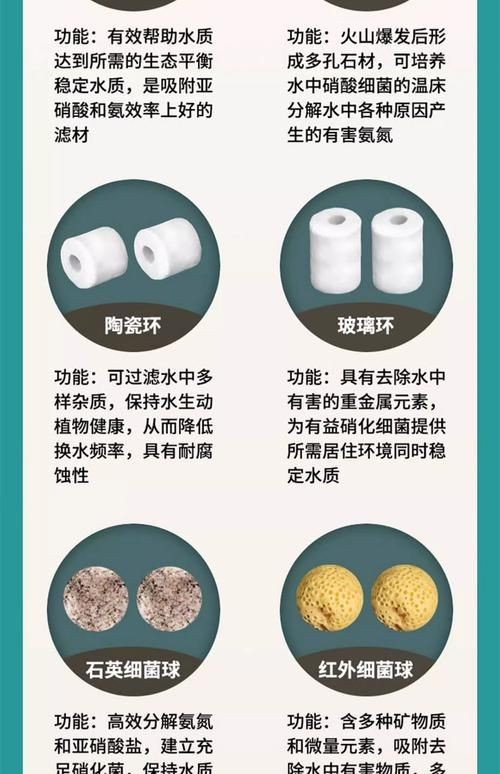 各種濾材的作用圖解 各種濾材的作用圖解 全國水族館企業名錄 第9張