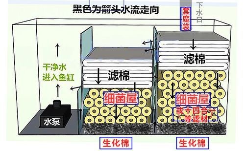 各種濾材的作用圖解 各種濾材的作用圖解 全國水族館企業名錄 第3張