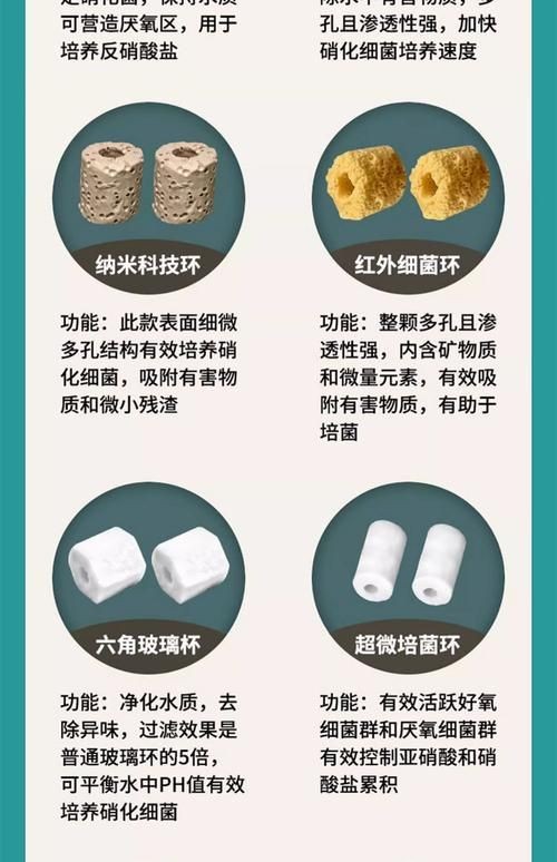 各種濾材的作用圖解 各種濾材的作用圖解 全國水族館企業名錄 第2張