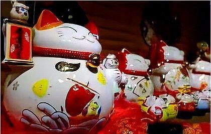 家里放招財貓的害處