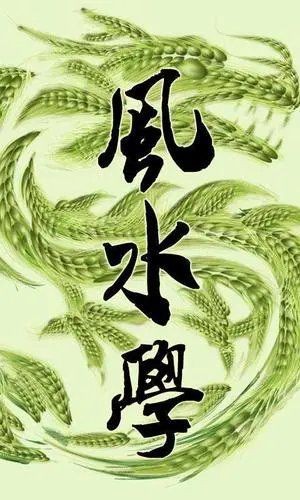 家里放招財貓的害處
