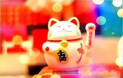 家里放招財貓的害處