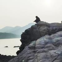 火元素是什么意思 火元素是什么意思 龍魚論壇 第13張