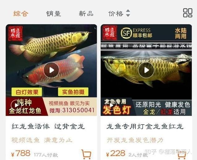 臺州龍魚店