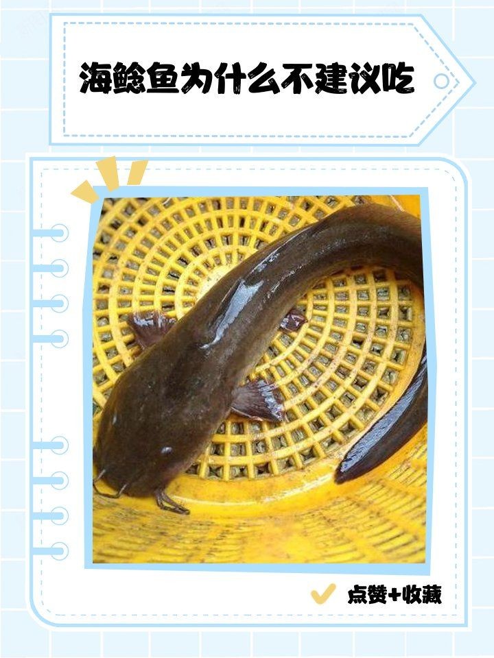 海鯰魚在淡水能養活么