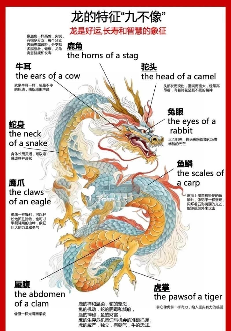 1976屬龍人養(yǎng)幾條魚旺財(cái)運(yùn)