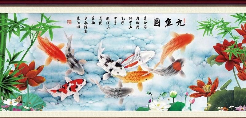 九魚圖掛東墻還是西墻 龍魚百科 第6張 九魚圖掛東墻還是西墻 九魚圖掛東墻還是西墻 龍魚百科 第6張