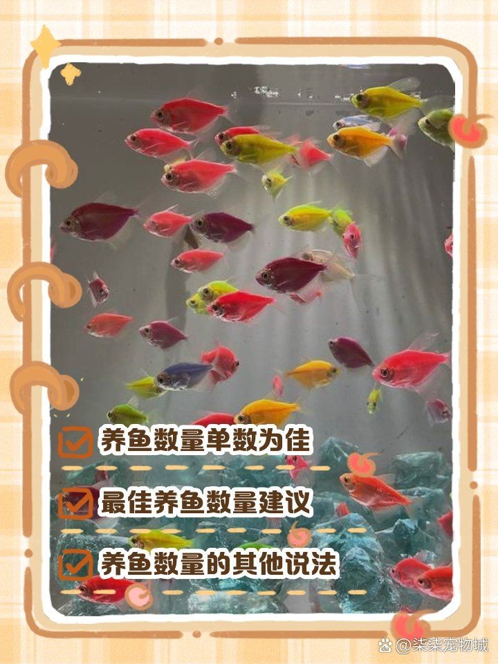 家里養魚養幾條最好