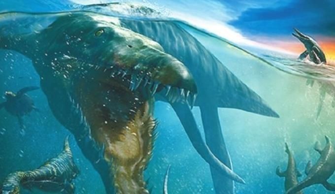 海洋霸主第一名 海洋霸主第一名 龍魚論壇 第5張
