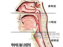和尚可以吃魚和雞蛋嗎
