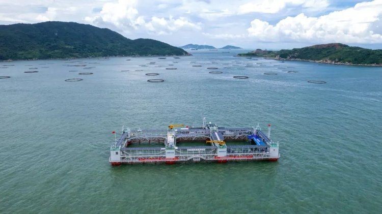 廣東漁場 龍魚論壇 第2張 廣東漁場 廣東漁場 龍魚論壇 第2張