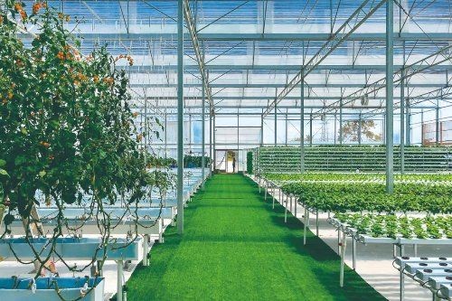 廣東漁場 龍魚論壇 第4張 廣東漁場 廣東漁場 龍魚論壇 第4張