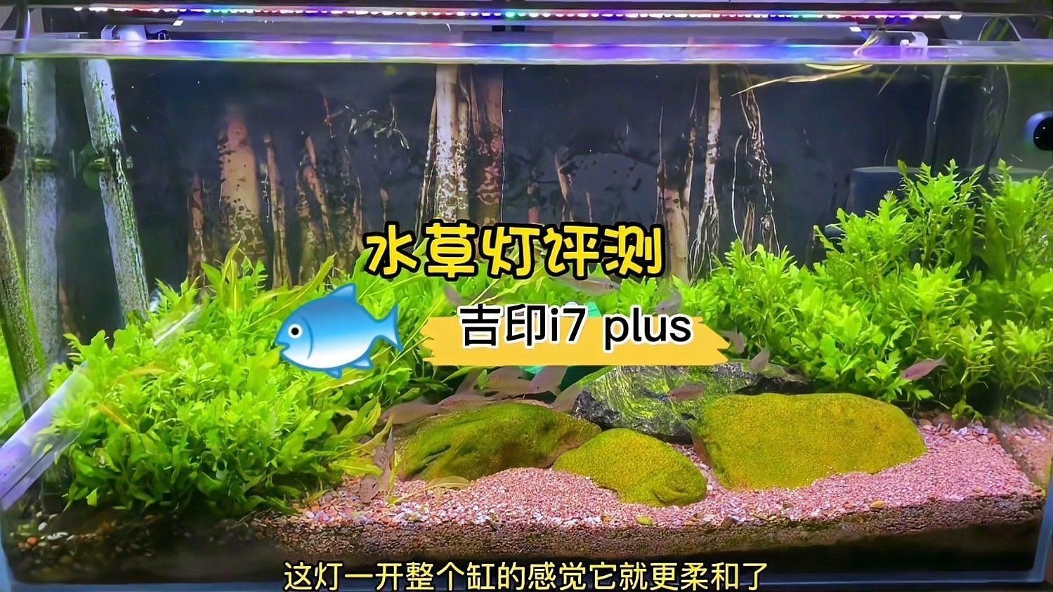 吉印i7plus水草燈怎么樣