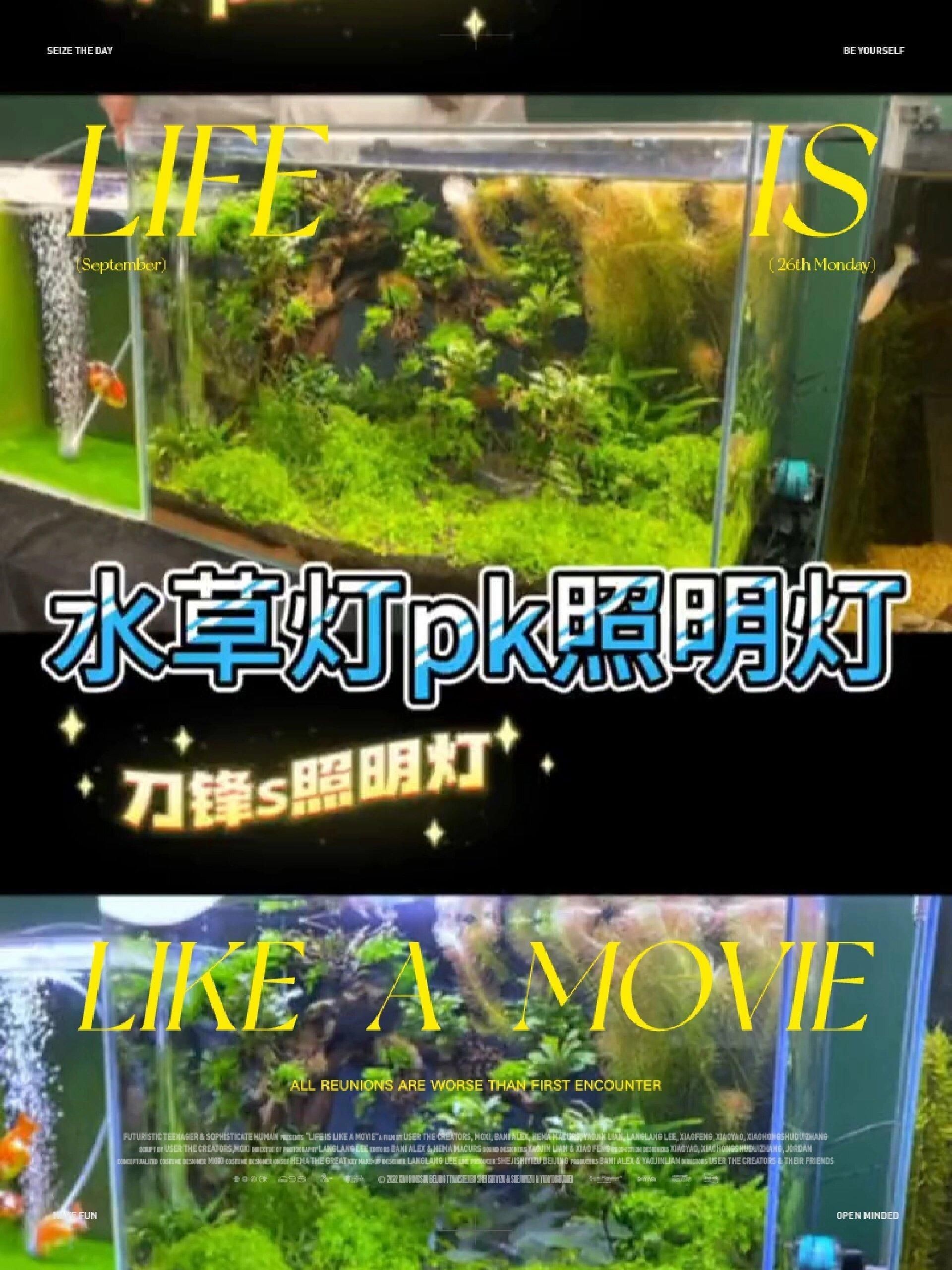 吉印i7plus水草燈怎么樣
