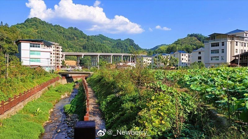 光唇魚(yú)圖片 龍魚(yú)論壇 第16張 光唇魚(yú)圖片 光唇魚(yú)圖片 龍魚(yú)論壇 第16張