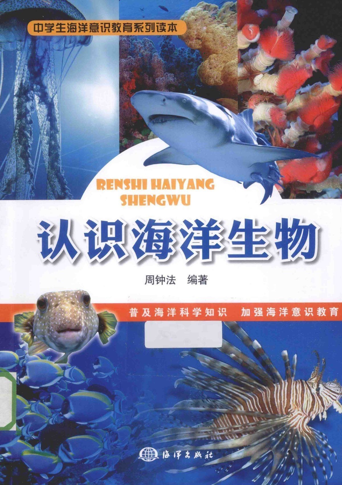 海龍魚是什么樣子的