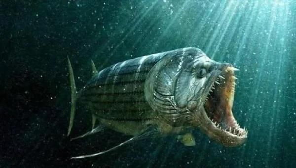 劍射魚還存在嗎
