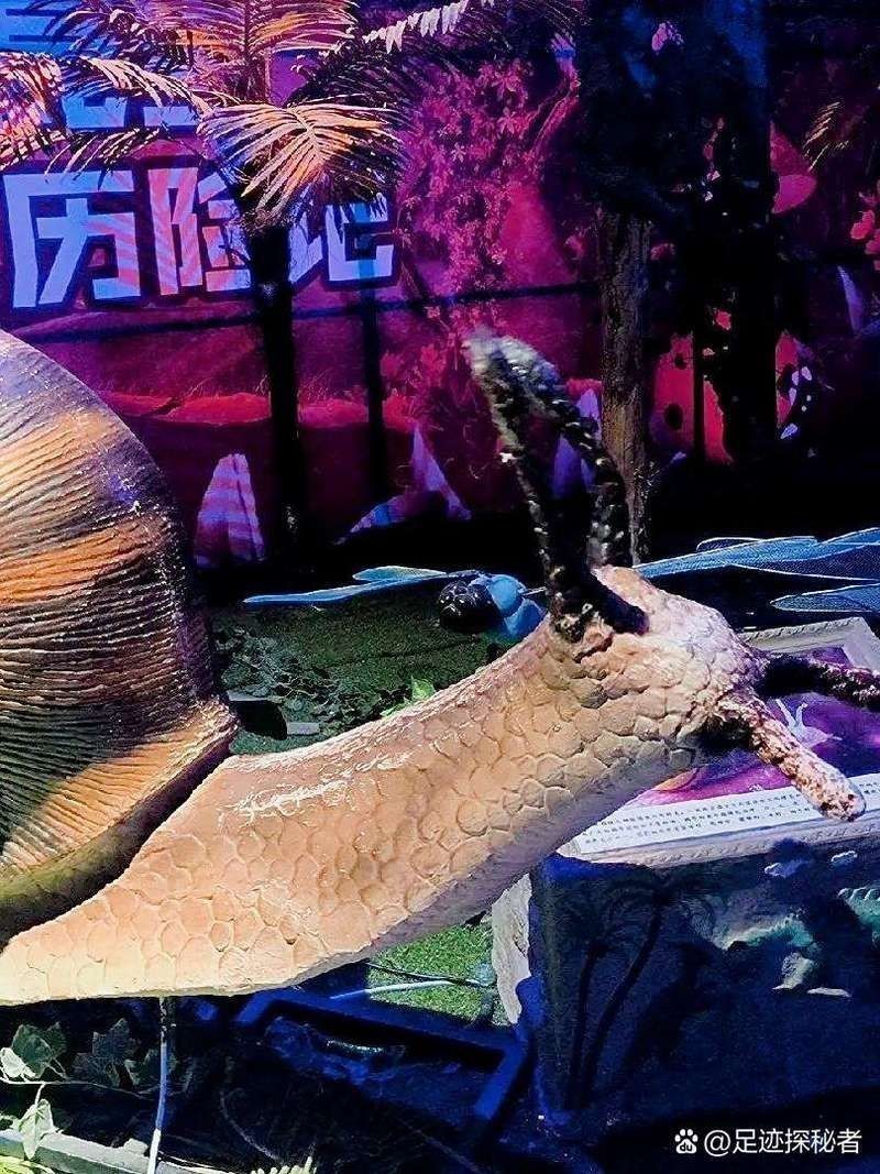 信陽水族館 信陽水族館 全國水族館企業名錄 第1張