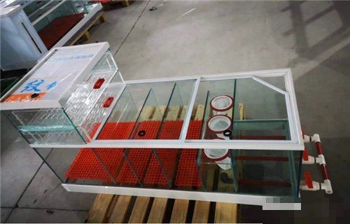 聚龍殿水族箱底濾