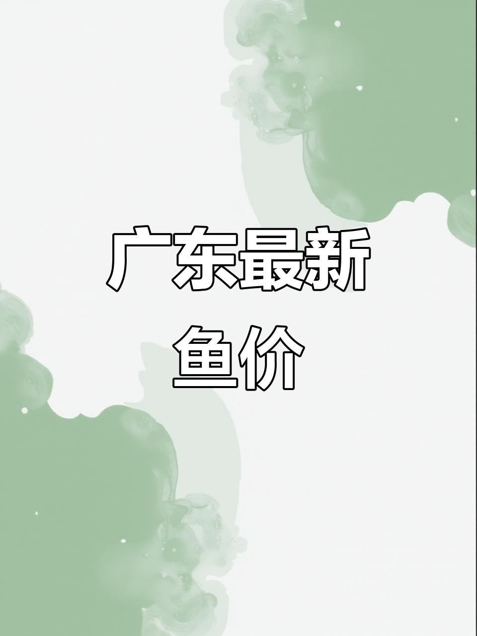 廣東魚價格行情最新價