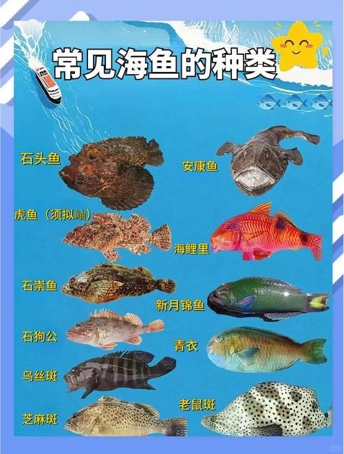 海魚大全10000種圖片 龍魚論壇 第12張 海魚大全10000種圖片 海魚大全10000種圖片 龍魚論壇 第12張