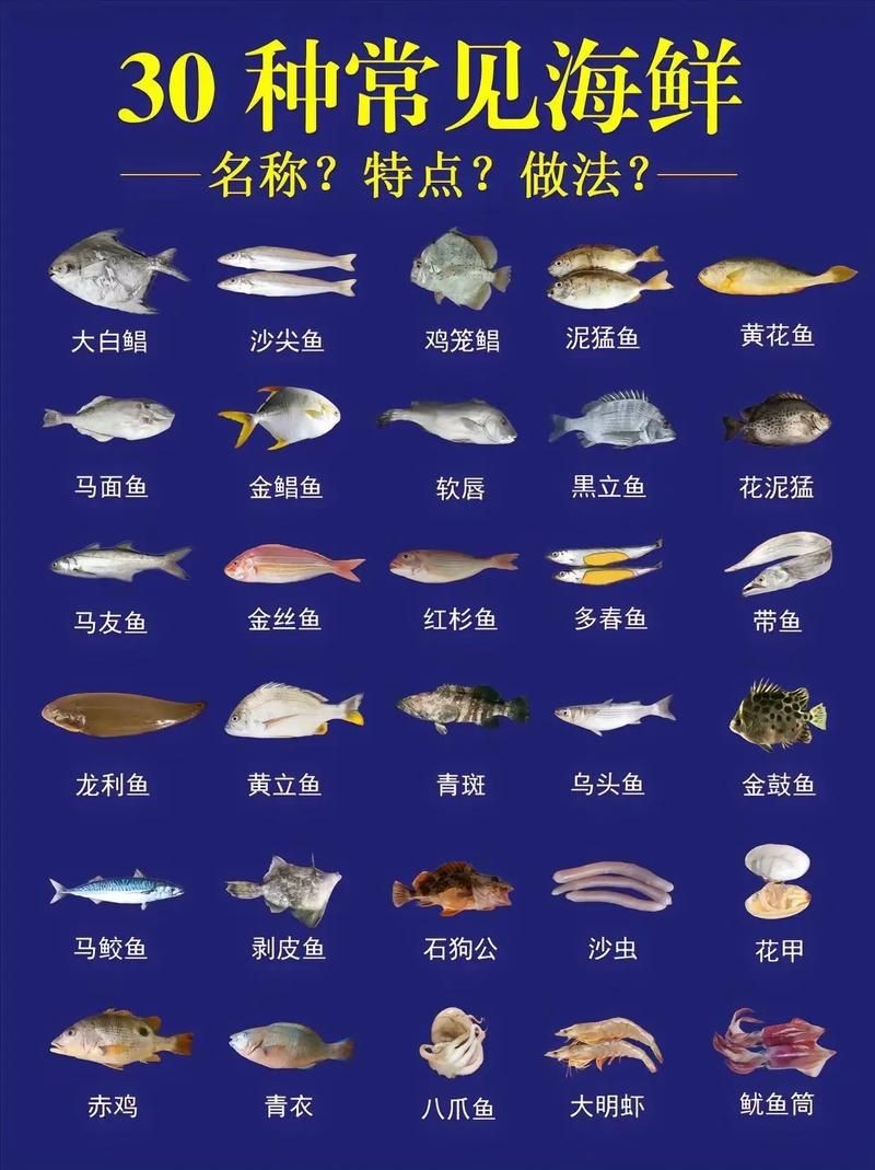 海魚大全10000種圖片 龍魚論壇 第7張 海魚大全10000種圖片 海魚大全10000種圖片 龍魚論壇 第7張