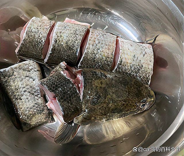 混子魚為何要盡量少吃