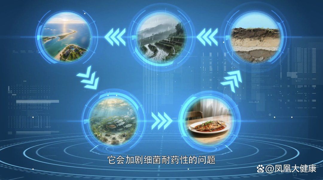 混子魚為何要盡量少吃