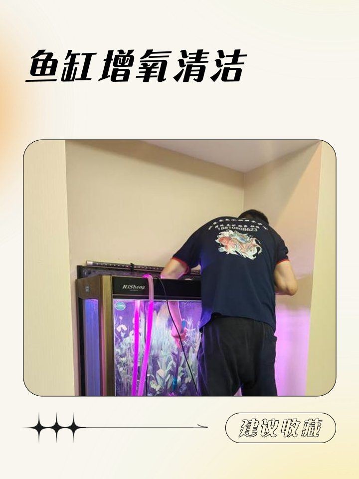 和田魚缸維護(hù)