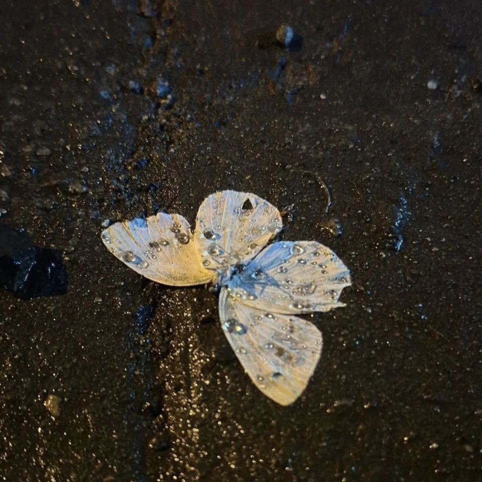 卡拉美拉和卡地亞哪個檔次高