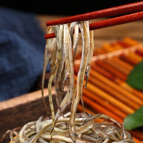 海龍魚(yú)的圖片 海龍魚(yú)的圖片 龍魚(yú)論壇 第12張