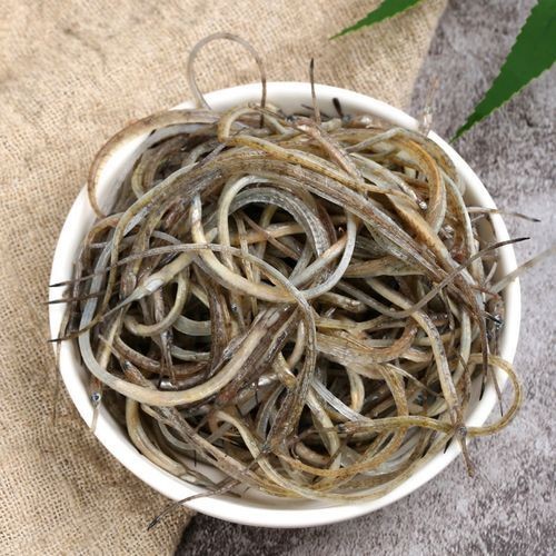 海龍魚(yú)的圖片 海龍魚(yú)的圖片 龍魚(yú)論壇 第18張
