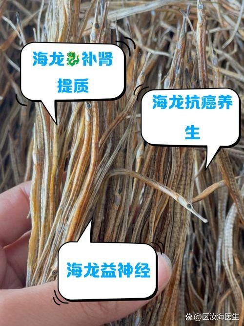 海龍魚(yú)的圖片 海龍魚(yú)的圖片 龍魚(yú)論壇 第13張