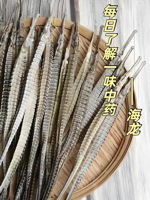 海龍魚(yú)的圖片 海龍魚(yú)的圖片 龍魚(yú)論壇 第15張