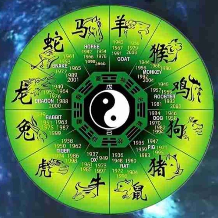 海象會(huì)攻擊人嗎