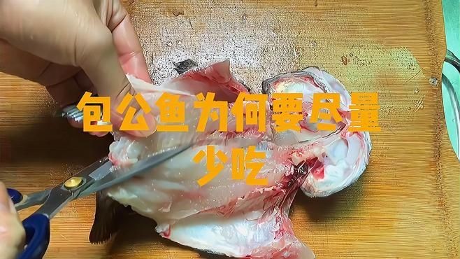 金元寶魚盡量少吃的原因