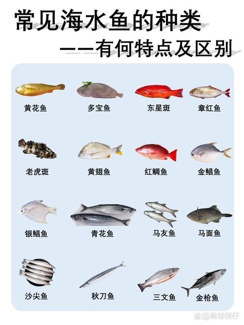 海魚大全圖片