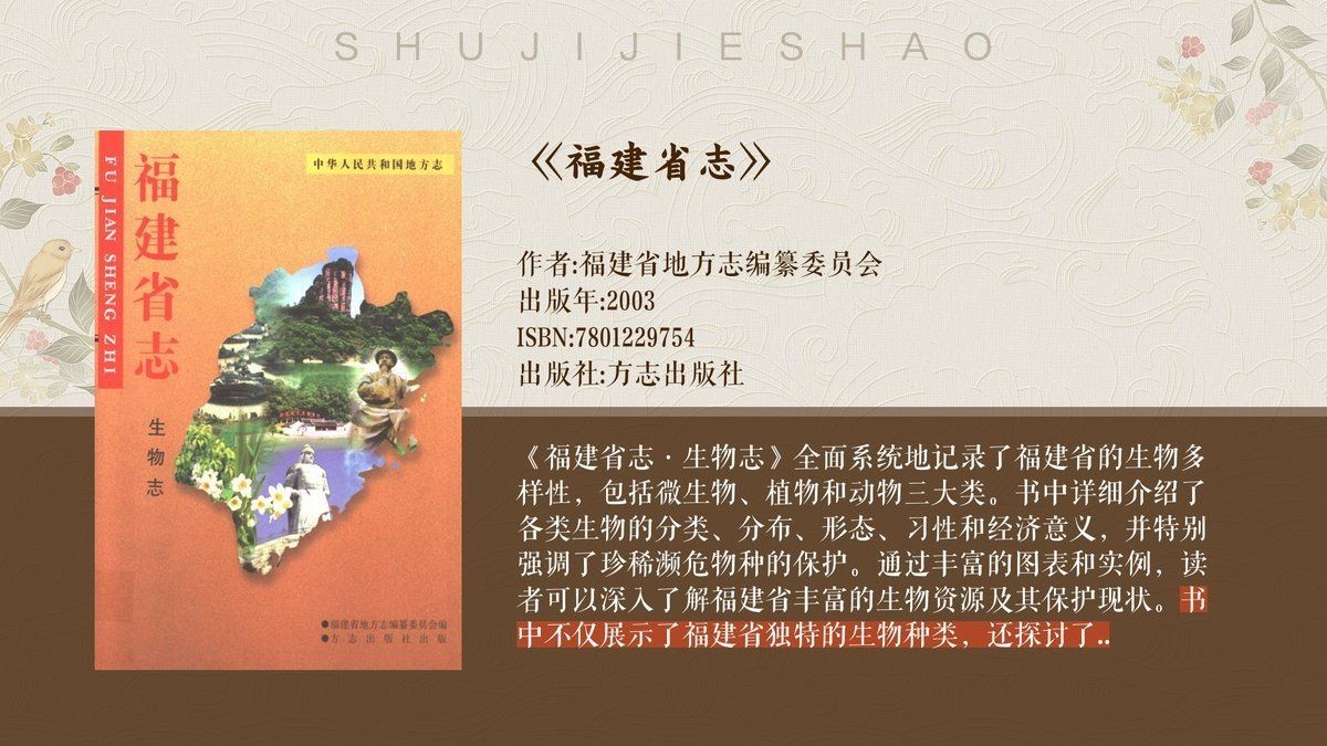 狗鯊 龍魚論壇 第3張 狗鯊 狗鯊 龍魚論壇 第3張