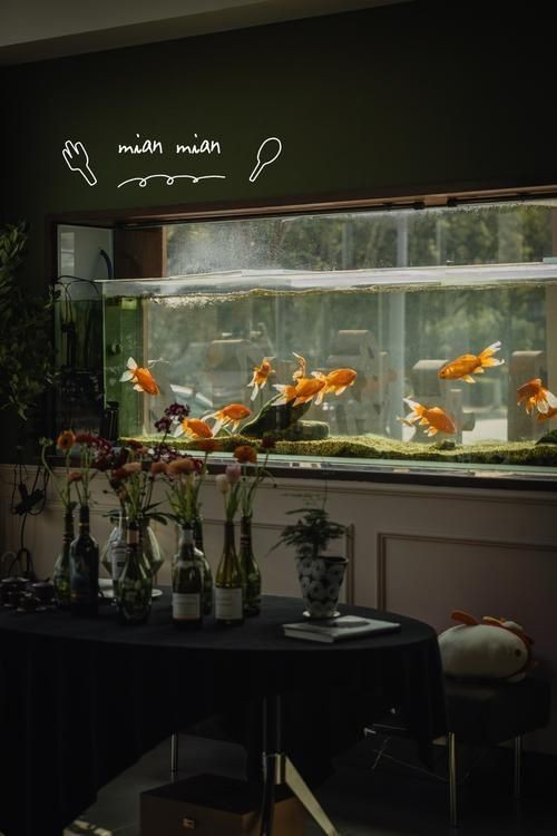 廣安魚缸店 全國水族館企業名錄 第11張 廣安魚缸店 廣安魚缸店 全國水族館企業名錄 第11張