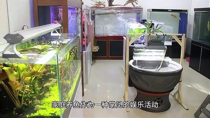 家里用水族魚(yú)缸的利弊 全國(guó)水族館企業(yè)名錄 第7張 家里用水族魚(yú)缸的利弊 家里用水族魚(yú)缸的利弊 全國(guó)水族館企業(yè)名錄 第7張