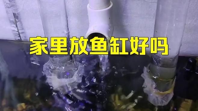 家里用水族魚(yú)缸的利弊 全國(guó)水族館企業(yè)名錄 第4張 家里用水族魚(yú)缸的利弊 家里用水族魚(yú)缸的利弊 全國(guó)水族館企業(yè)名錄 第4張
