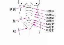 懷孕照片大肚子