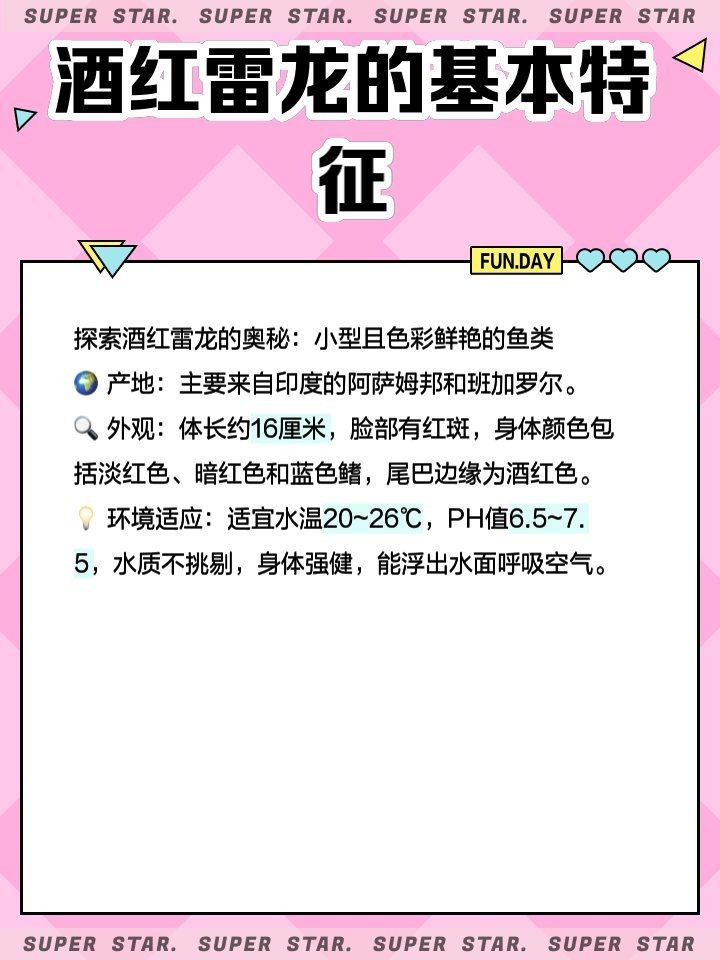 酒紅雷龍耐低溫