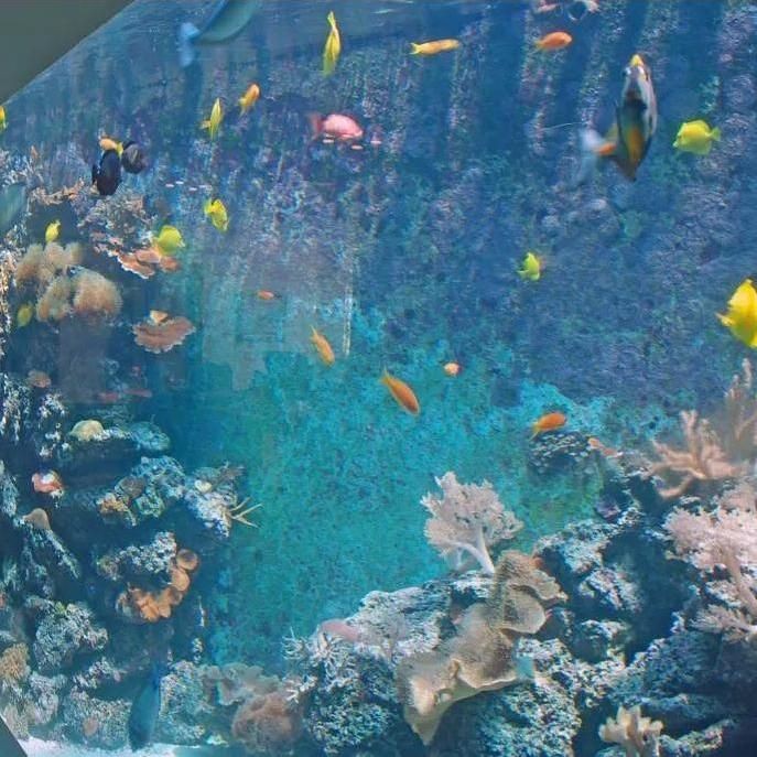 嘉峪關水族館