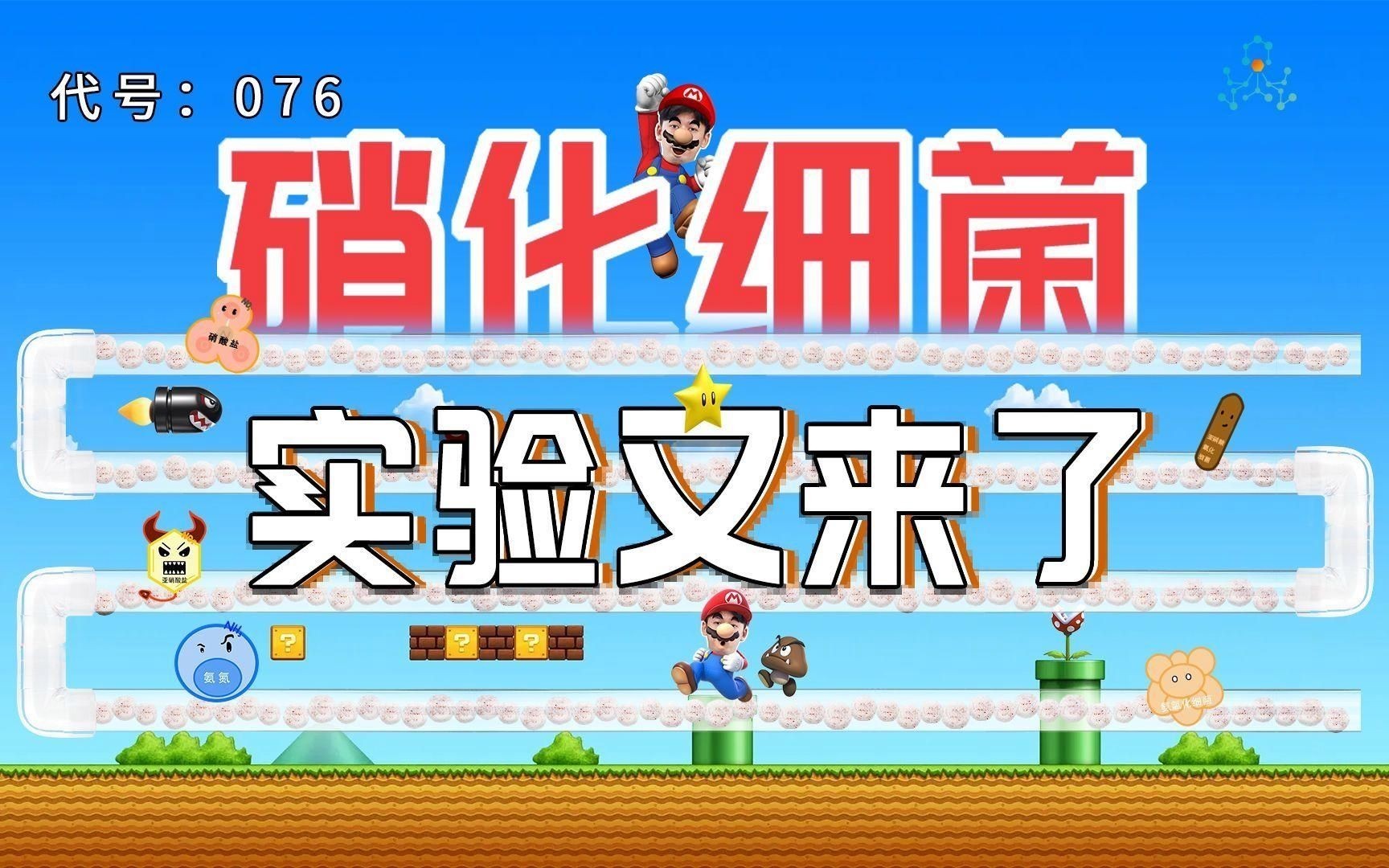 怎么確認硝化菌成功了 怎么確認硝化菌成功了 龍魚百科 第7張
