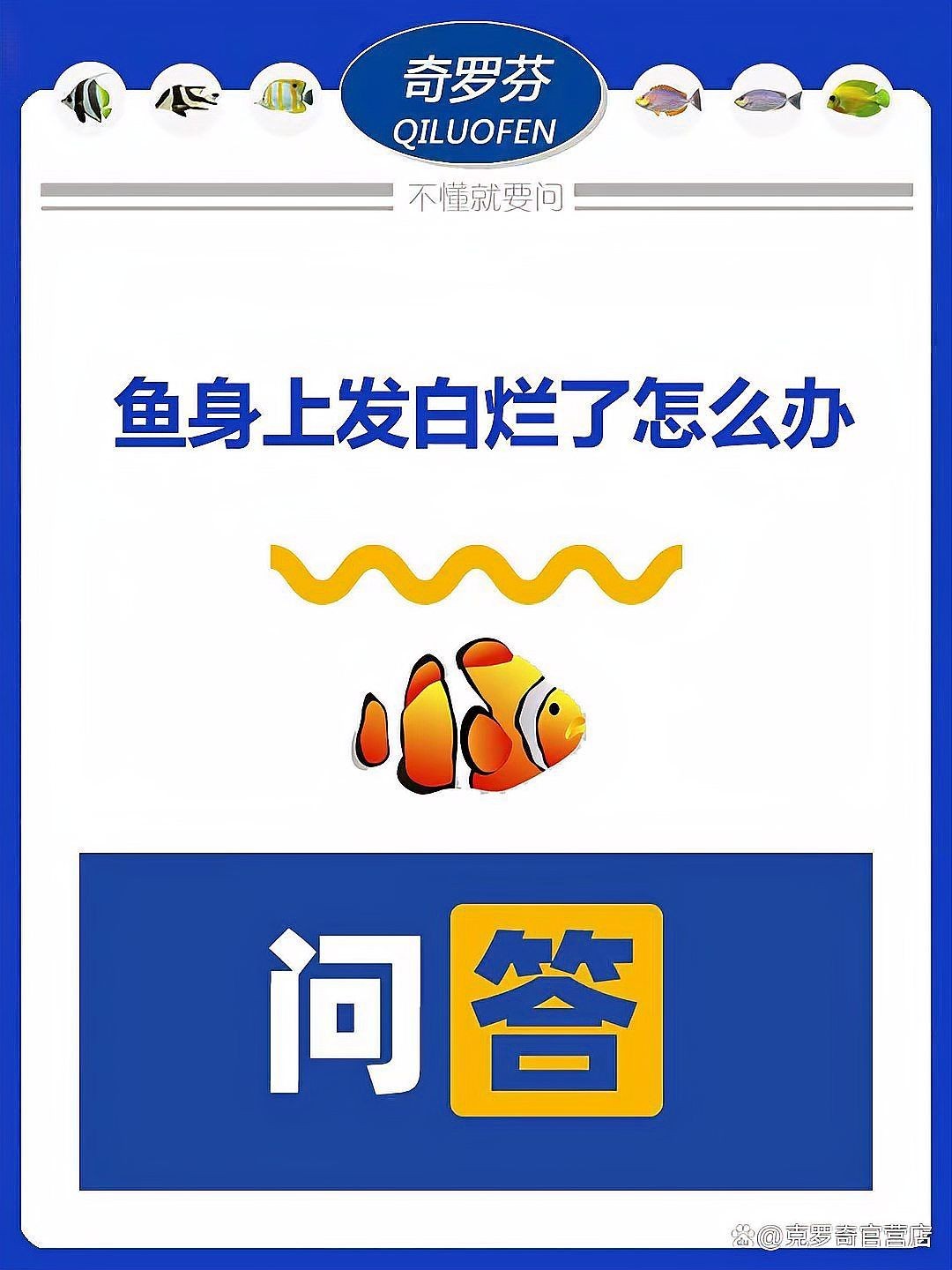 海水魚發白潰爛最簡單三個征兆