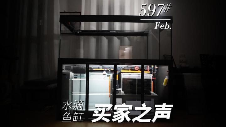 和興龍魚的老虎最后和誰在一起了 和興龍魚的老虎最后和誰在一起了 龍魚論壇 第7張