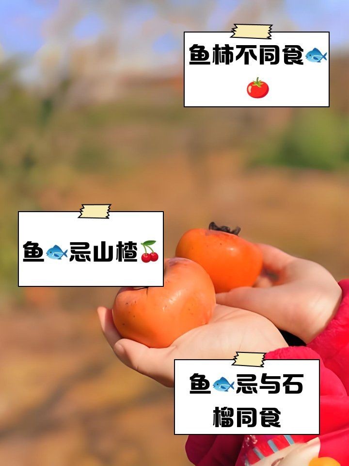 和尚魚充血最忌三種水果