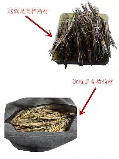 海龍魚多少一斤
