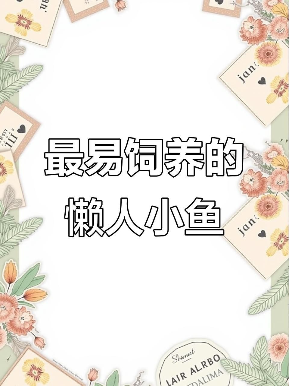 家庭魚缸養什么最簡單